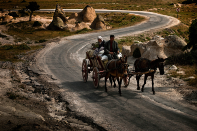 3. TARIM VE İNSAN FOTOĞRAF YARIŞMASI - Nuri ÇOBAN