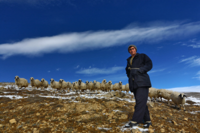 3. TARIM VE İNSAN FOTOĞRAF YARIŞMASI - Osman ERMİŞLER