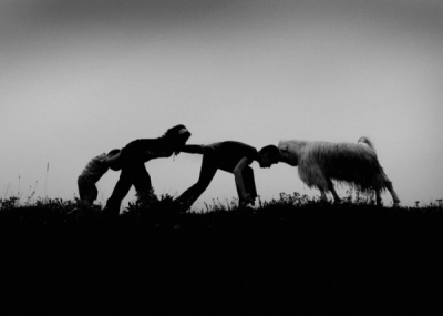 3. TARIM VE İNSAN FOTOĞRAF YARIŞMASI - Recep ÖĞÜT