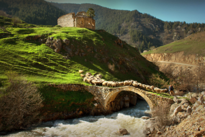 3. TARIM VE İNSAN FOTOĞRAF YARIŞMASI - Sabri ALTIN