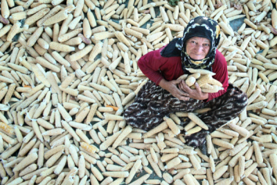 3. TARIM VE İNSAN FOTOĞRAF YARIŞMASI - Seyit KONYALI 