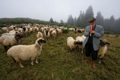 3. TARIM VE İNSAN FOTOĞRAF YARIŞMASI - Tayip BAŞAK