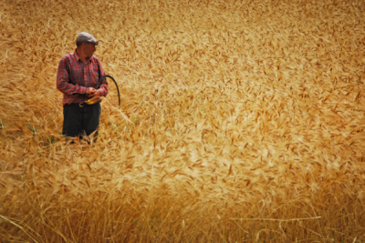 3. TARIM VE İNSAN FOTOĞRAF YARIŞMASI - Tuna AKÇAY