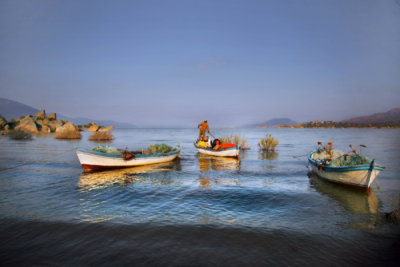 3. TARIM VE İNSAN FOTOĞRAF YARIŞMASI - Tüten DAĞDAŞ