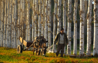 4. TARIM VE İNSAN FOTOĞRAF YARIŞMASI - Özgün ATİLLA