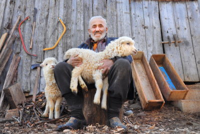 4. TARIM VE İNSAN FOTOĞRAF YARIŞMASI - Sabri ALTIN