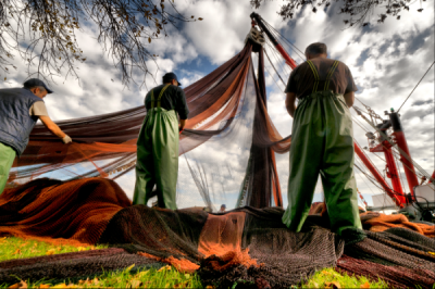 4. TARIM VE İNSAN FOTOĞRAF YARIŞMASI - Sebahattin ÖZVEREN