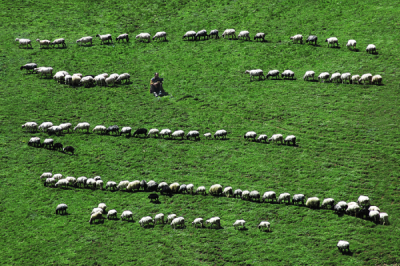 4. TARIM VE İNSAN FOTOĞRAF YARIŞMASI - Aytaç ÖZCAN