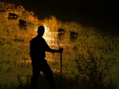 4. TARIM VE İNSAN FOTOĞRAF YARIŞMASI - Hakan YARALI
