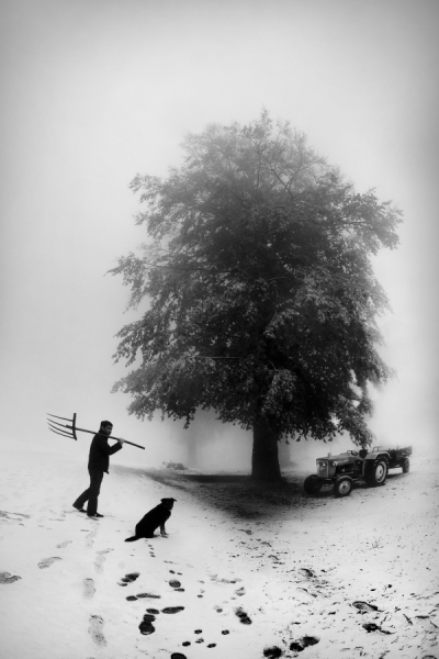 4. TARIM VE İNSAN FOTOĞRAF YARIŞMASI - Ali Haydar CEYLAN