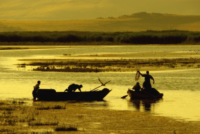 4. TARIM VE İNSAN FOTOĞRAF YARIŞMASI - Ali İhsan ÖZTÜRK