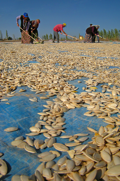 4. TARIM VE İNSAN FOTOĞRAF YARIŞMASI - Ali IŞIK