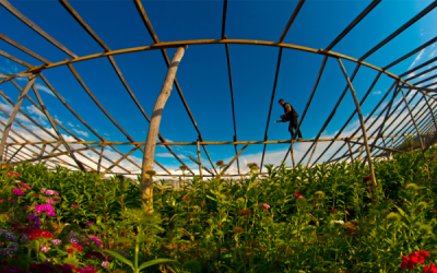 4. TARIM VE İNSAN FOTOĞRAF YARIŞMASI - Ali MERMERTAŞ