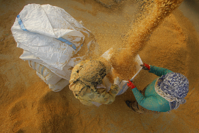 4. TARIM VE İNSAN FOTOĞRAF YARIŞMASI - Ali SAK