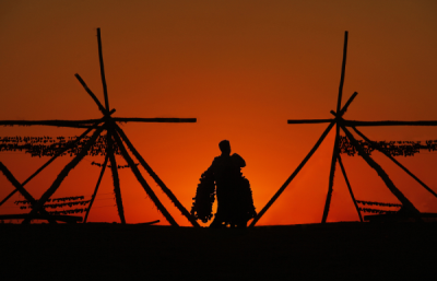 4. TARIM VE İNSAN FOTOĞRAF YARIŞMASI - Ali SAK