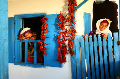 4. TARIM VE İNSAN FOTOĞRAF YARIŞMASI - Ali SAK