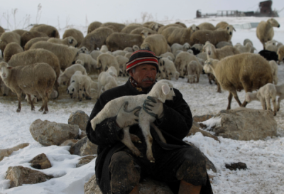 4. TARIM VE İNSAN FOTOĞRAF YARIŞMASI - Ali ÜNAL