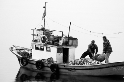 4. TARIM VE İNSAN FOTOĞRAF YARIŞMASI - Arda Adnan KALKAN