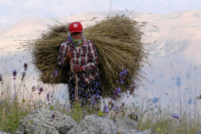 4. TARIM VE İNSAN FOTOĞRAF YARIŞMASI - Arif AYİZE