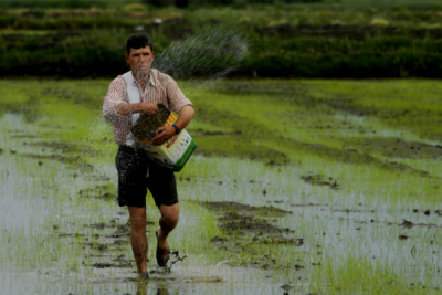 4. TARIM VE İNSAN FOTOĞRAF YARIŞMASI - Behiç GÜNALAN