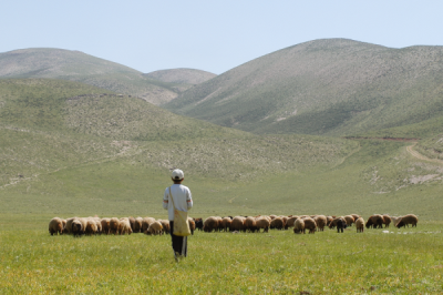 4. TARIM VE İNSAN FOTOĞRAF YARIŞMASI - Bünyamin BOZKURT