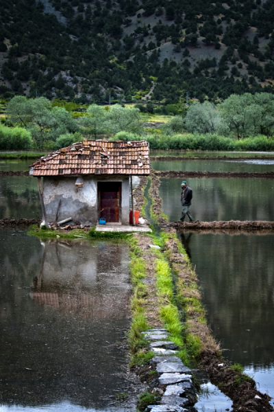 4. TARIM VE İNSAN FOTOĞRAF YARIŞMASI - Burak ŞENBAK