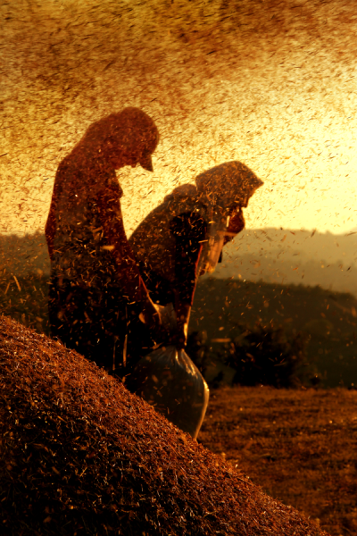 4. TARIM VE İNSAN FOTOĞRAF YARIŞMASI - Burcu EMEKTAR