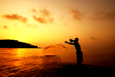 4. TARIM VE İNSAN FOTOĞRAF YARIŞMASI - Burcu EMEKTAR