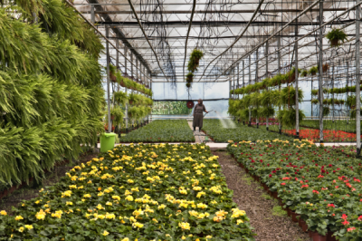 4. TARIM VE İNSAN FOTOĞRAF YARIŞMASI - Celalettin TUNÇ