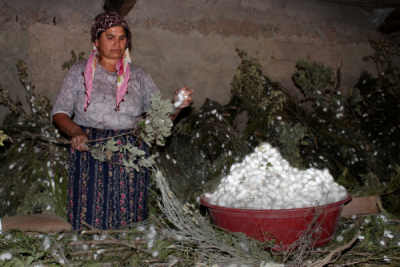 4. TARIM VE İNSAN FOTOĞRAF YARIŞMASI - Cesur Köksal ÖZBAHAR