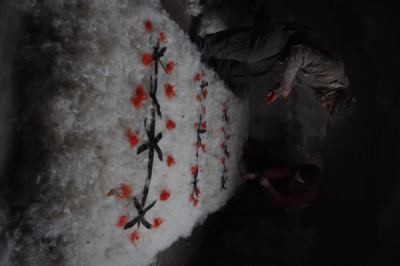 4. TARIM VE İNSAN FOTOĞRAF YARIŞMASI - Erdem BAĞCI