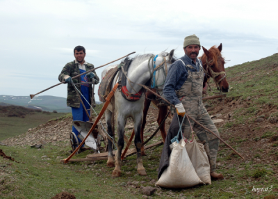 4. TARIM VE İNSAN FOTOĞRAF YARIŞMASI - Erdinç TOKAT