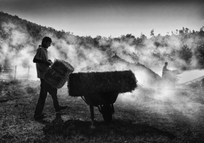 4. TARIM VE İNSAN FOTOĞRAF YARIŞMASI - Erol AYYILDIZ