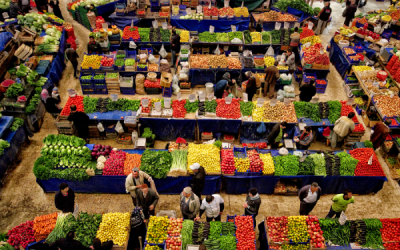 4. TARIM VE İNSAN FOTOĞRAF YARIŞMASI - Erol AYYILDIZ