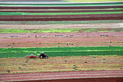 4. TARIM VE İNSAN FOTOĞRAF YARIŞMASI - Gökalp BİLİCİ