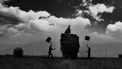 4. TARIM VE İNSAN FOTOĞRAF YARIŞMASI - Hakan YARALI
