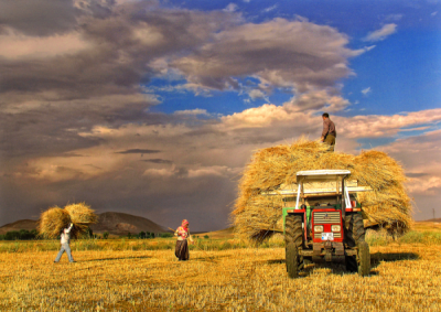4. TARIM VE İNSAN FOTOĞRAF YARIŞMASI - Hasan AYDIN