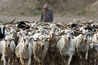 4. TARIM VE İNSAN FOTOĞRAF YARIŞMASI - İlkay Çağatay YILMAZ