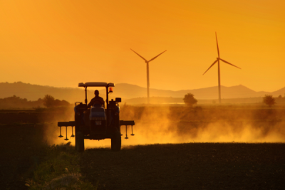 4. TARIM VE İNSAN FOTOĞRAF YARIŞMASI - İsmet DANYELİ