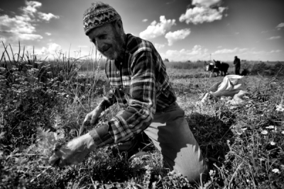 4. TARIM VE İNSAN FOTOĞRAF YARIŞMASI - İzzet GÖÇMENOĞLU