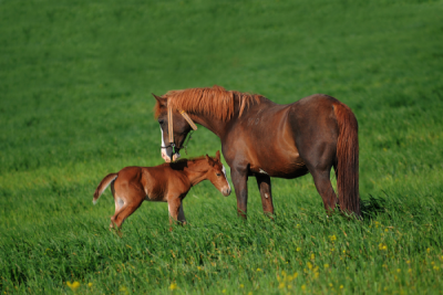 4. TARIM VE İNSAN FOTOĞRAF YARIŞMASI - Kadir ÇİVİCİ