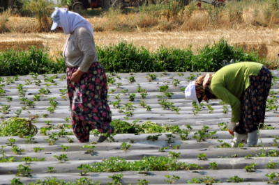 4. TARIM VE İNSAN FOTOĞRAF YARIŞMASI - Mehmet ÇELİK     