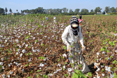 4. TARIM VE İNSAN FOTOĞRAF YARIŞMASI - Mehmet Emin BİLGİLİ