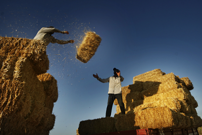 4. TARIM VE İNSAN FOTOĞRAF YARIŞMASI - Mehmet Müsebbih ERGİN