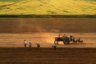 4. TARIM VE İNSAN FOTOĞRAF YARIŞMASI - Mehmet YASA