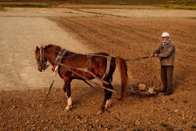 4. TARIM VE İNSAN FOTOĞRAF YARIŞMASI - Mesut SARAÇ