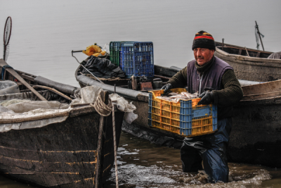 4. TARIM VE İNSAN FOTOĞRAF YARIŞMASI - Murat CEYHAN