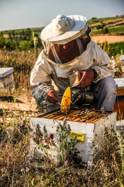 4. TARIM VE İNSAN FOTOĞRAF YARIŞMASI - Murat CEYHAN