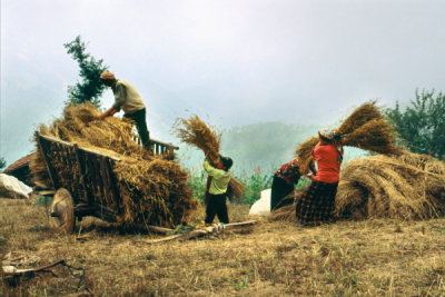 4. TARIM VE İNSAN FOTOĞRAF YARIŞMASI - Mustafa DEMİRBAŞ