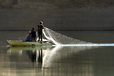4. TARIM VE İNSAN FOTOĞRAF YARIŞMASI - Mustafa ERDOĞAN
